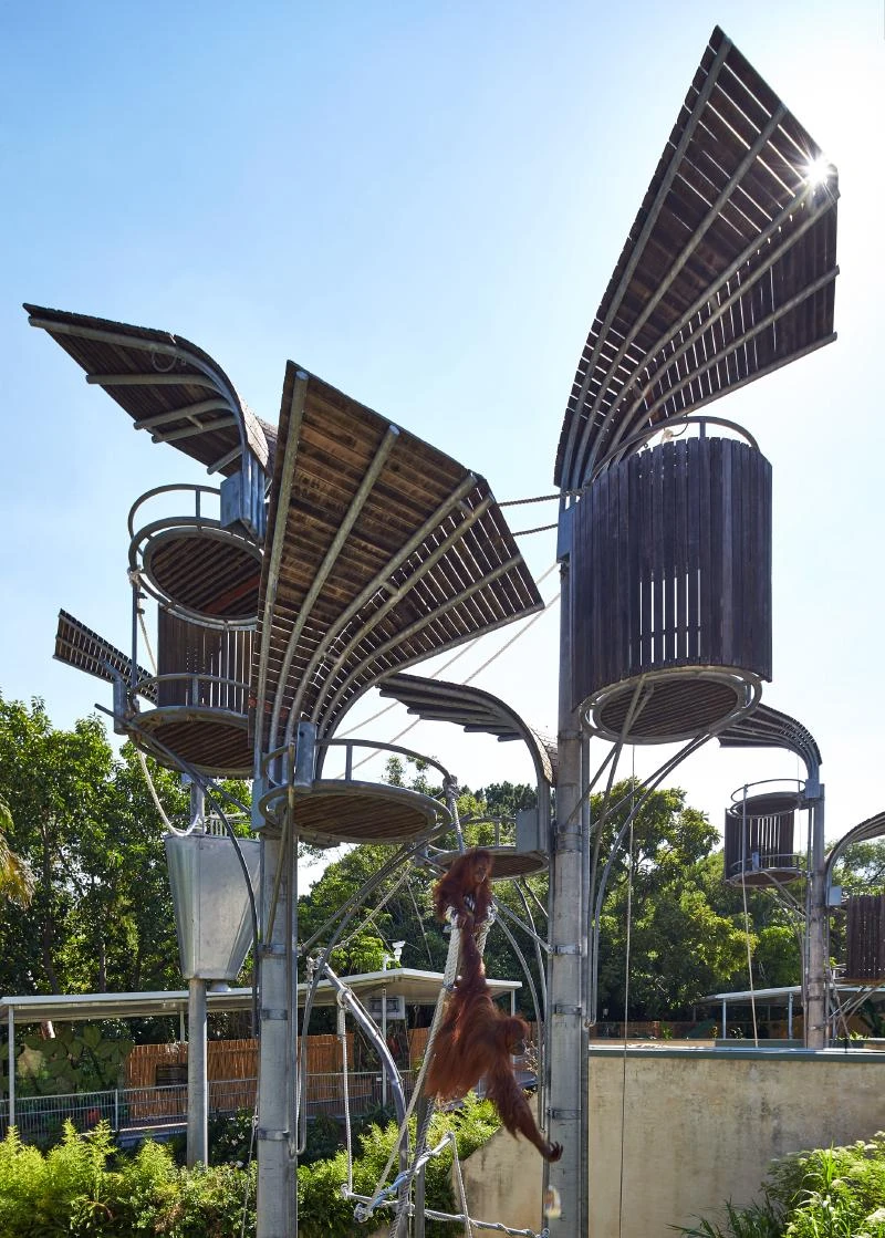 Zoo Architecture