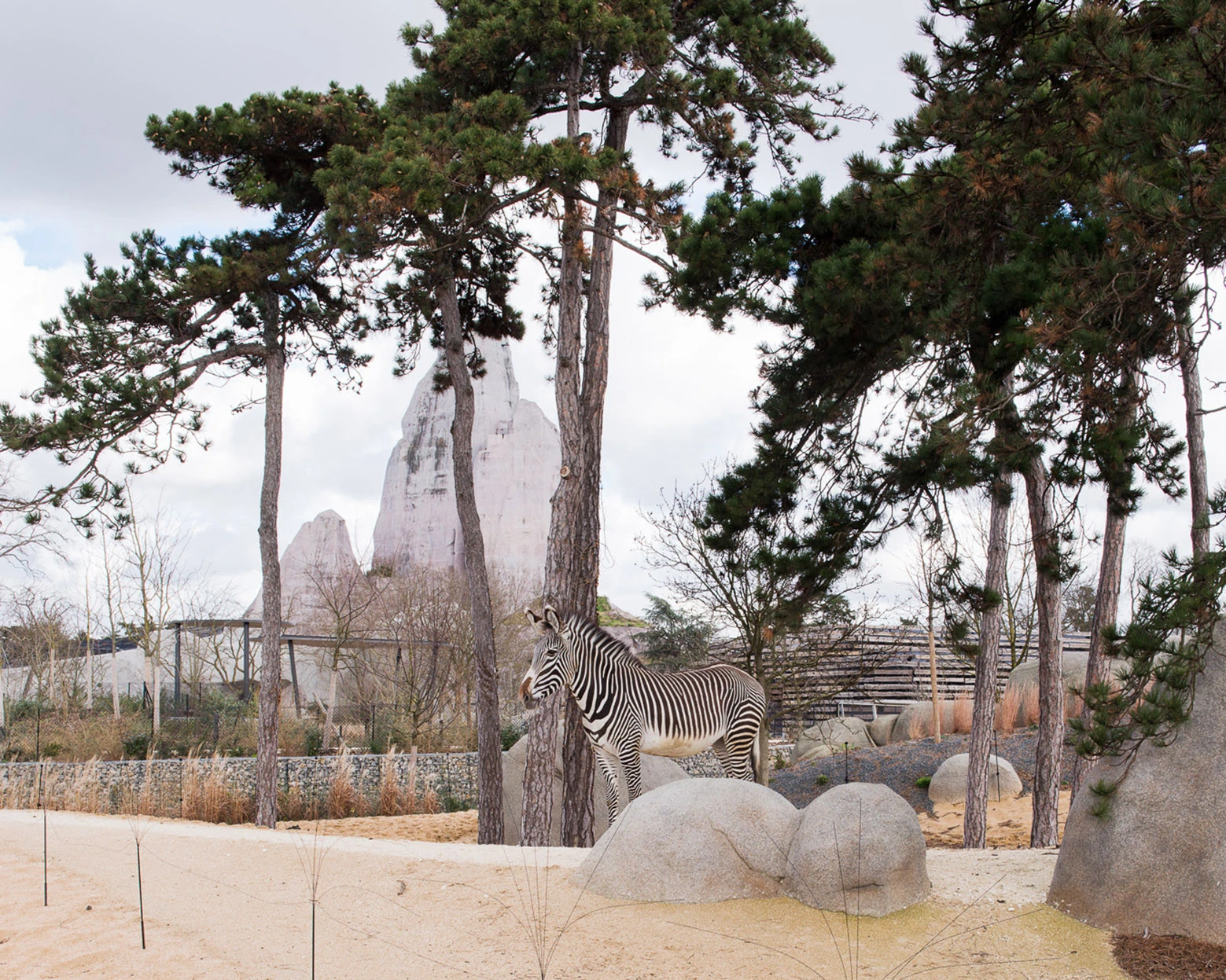 Zoo Architecture