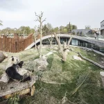 Zoo Architecture