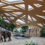 Zoo Architecture