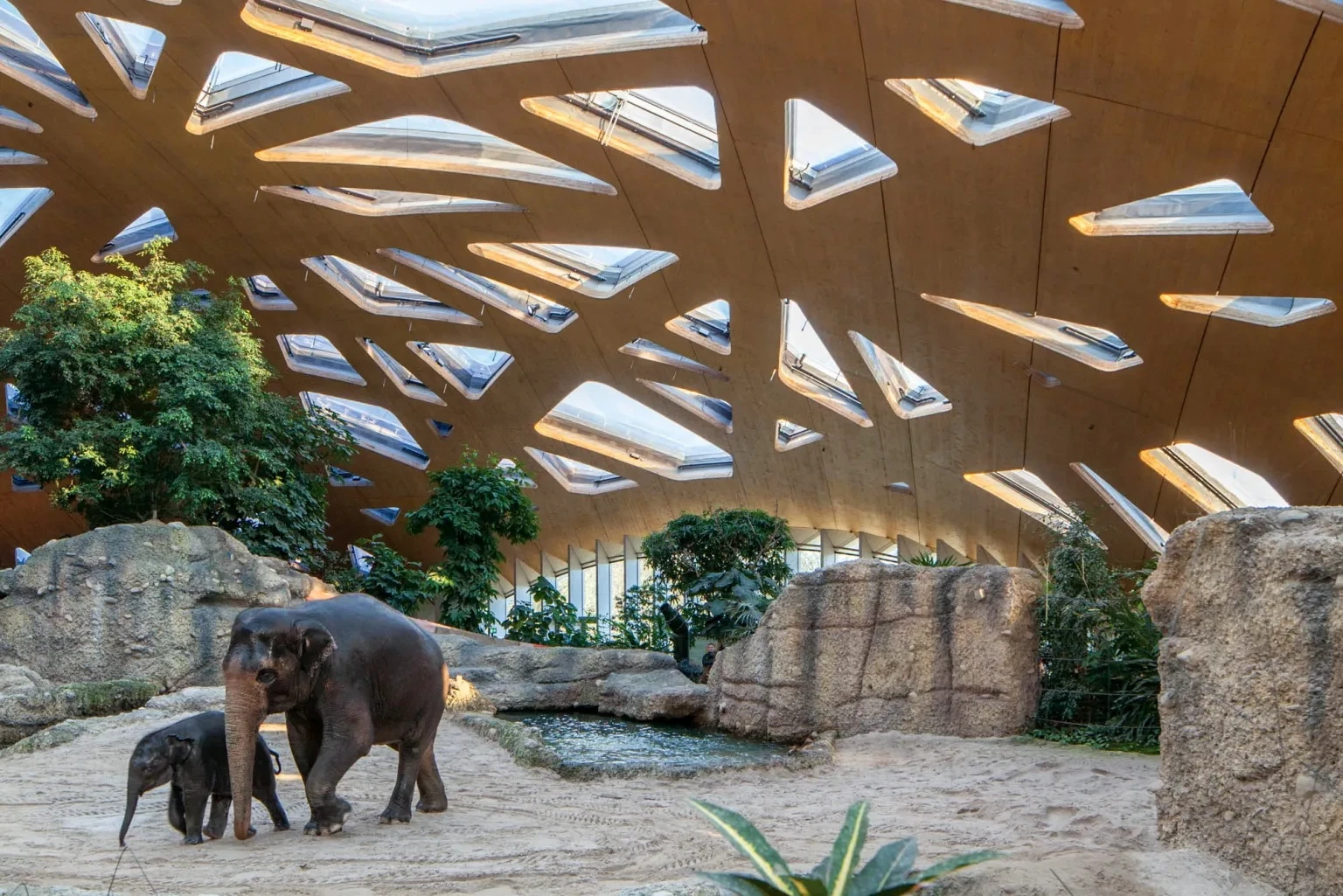 Zoo Architecture