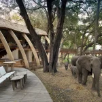 Zoo Architecture