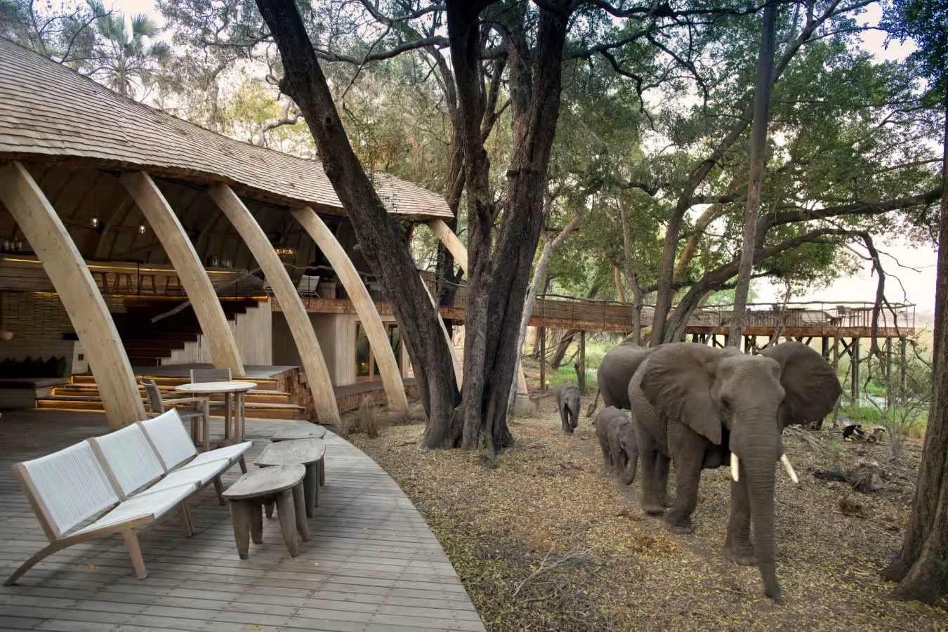 Zoo Architecture