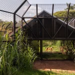 Zoo Architecture