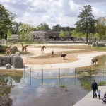 Zoo Architecture