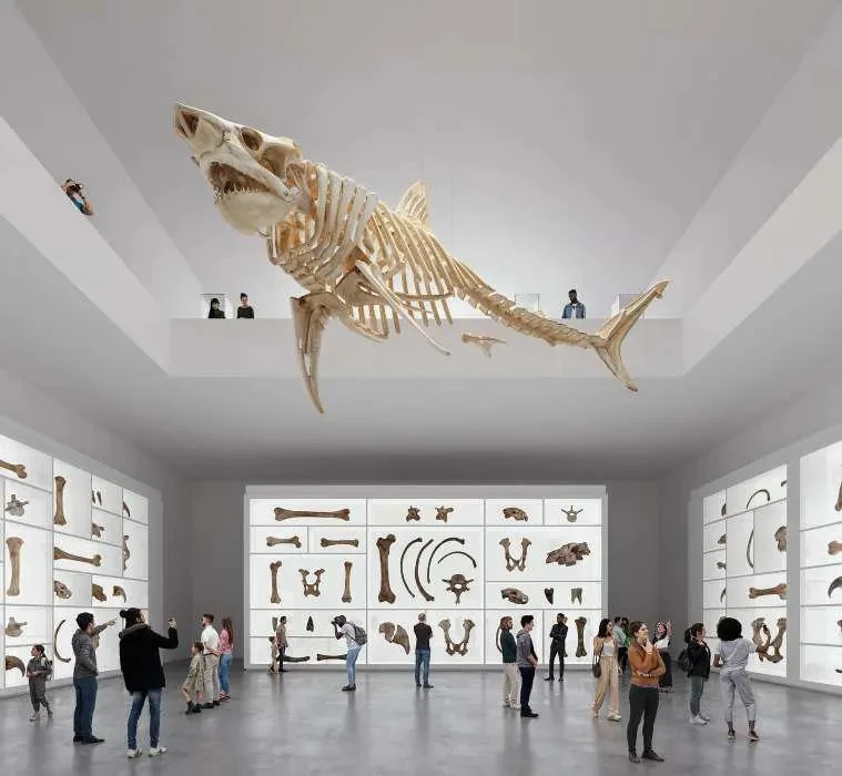 Controversy Erupts After Campo Baeza and MAODA Win Ecuador National Museum Competition