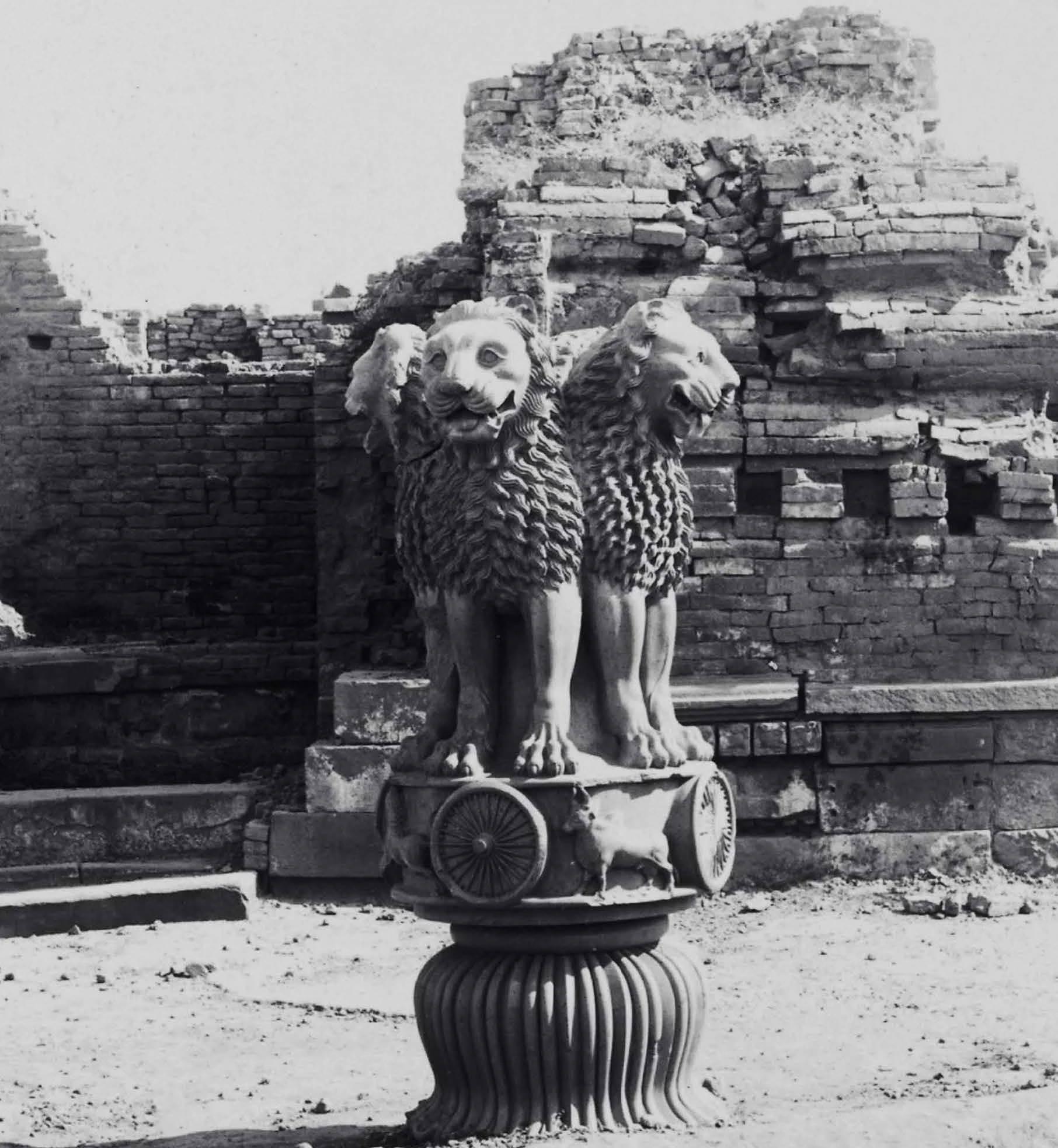 Lion Capital of the Ashokan Pillar during excavation