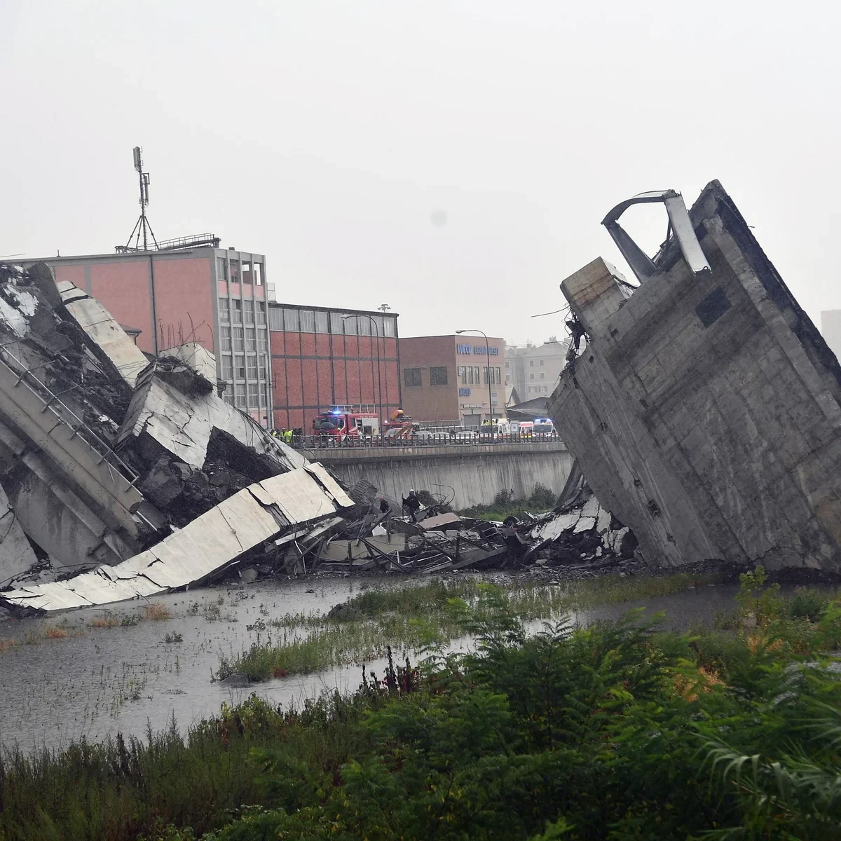 Morandi Bridge Collapse