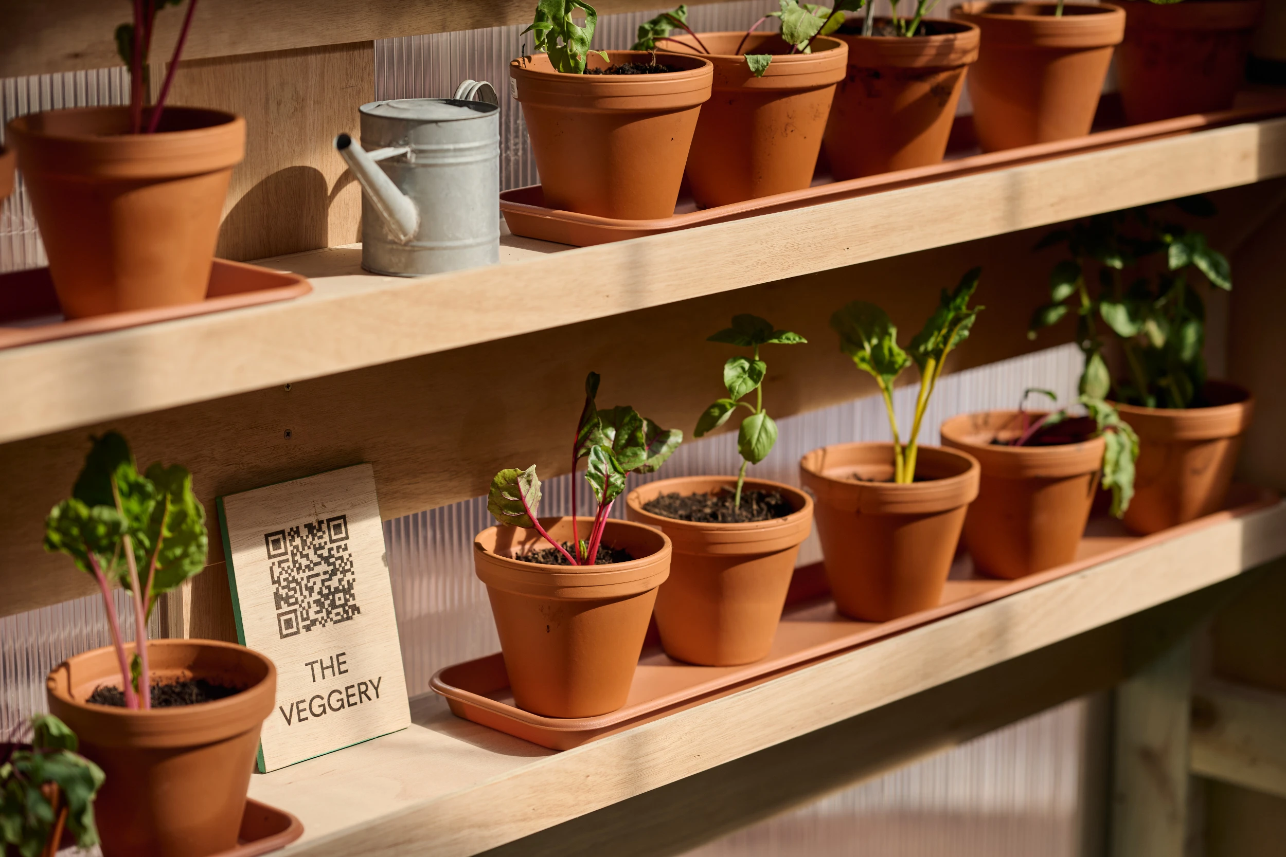 Studio Folk Architects and Raskl Bring Greenhouse Pavilion to the London Festival of Architecture