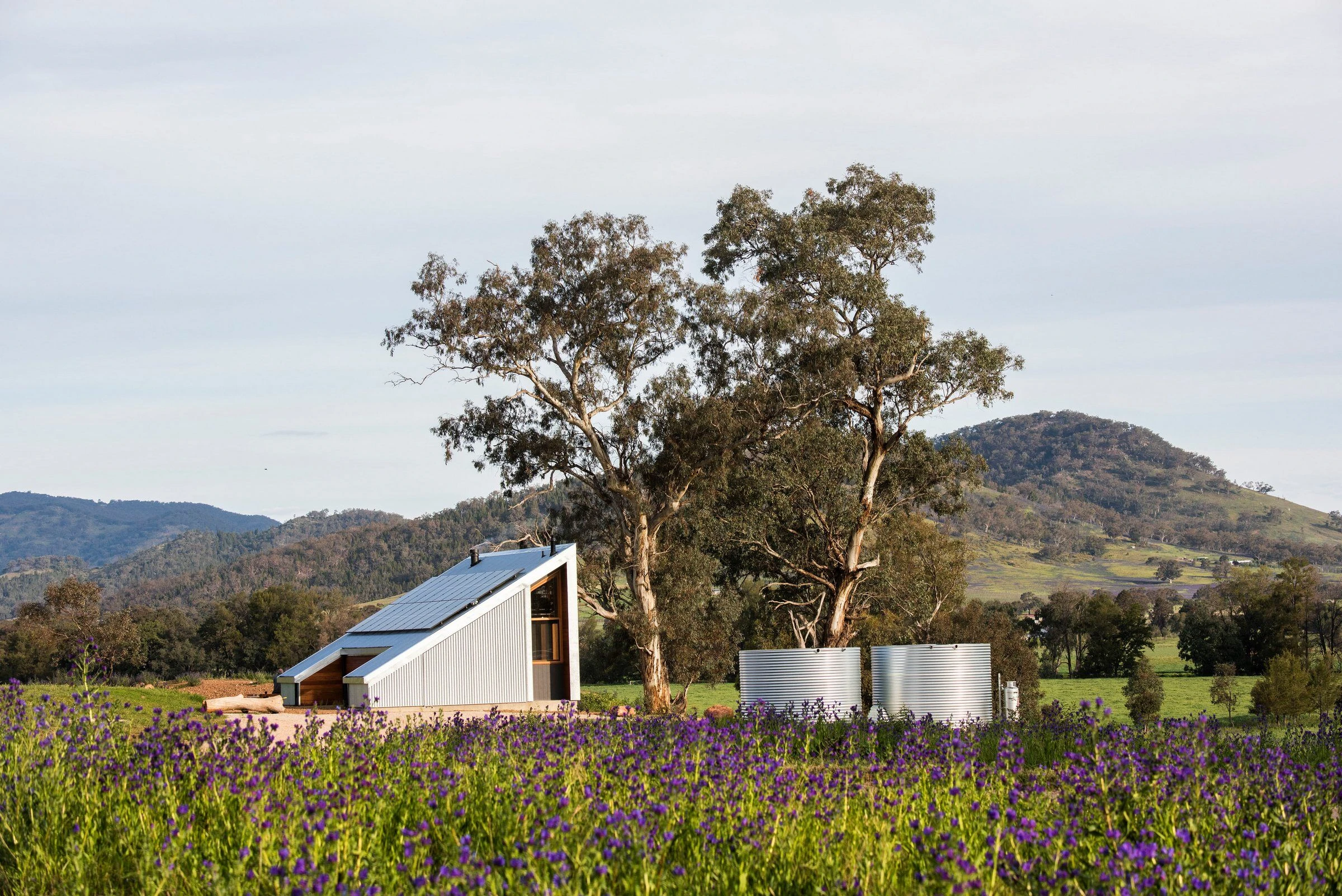 10 Beautiful Off-Grid Homes Designed for Modern Life