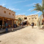 siwa oasis