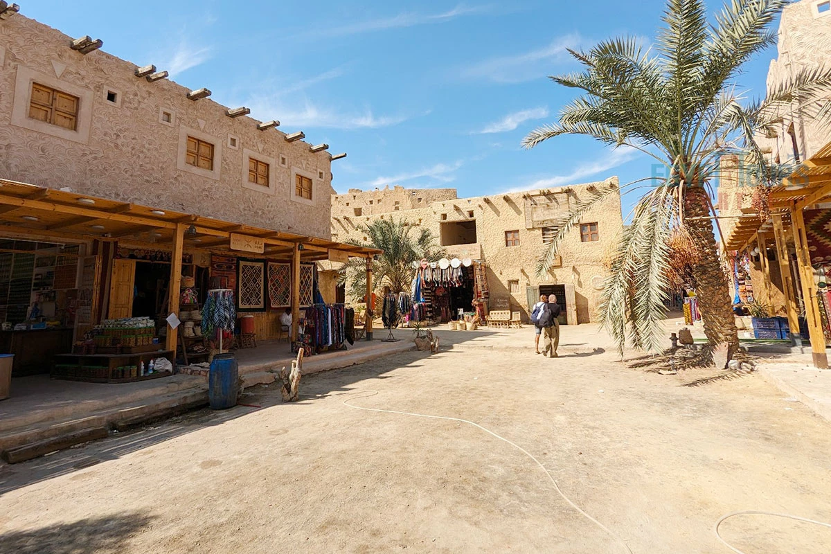 siwa oasis