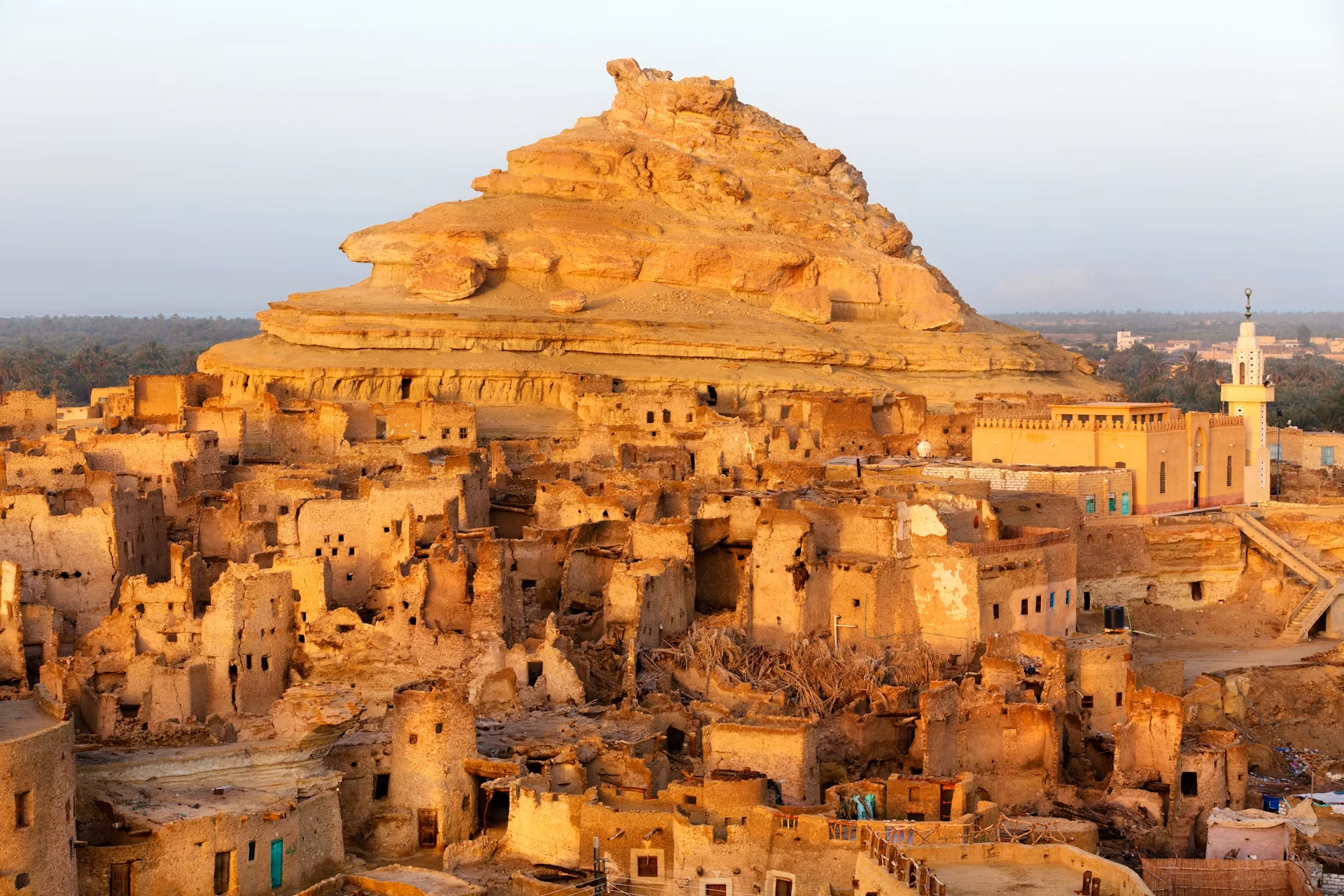 siwa oasis